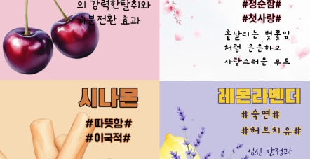 세상의 모든 향기 안내